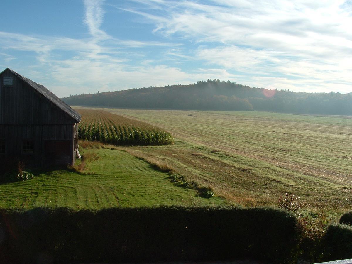 Gite De L'Artiste Saint-Tite Exterior photo
